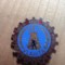 Insigne (3) Industrie Vlahita