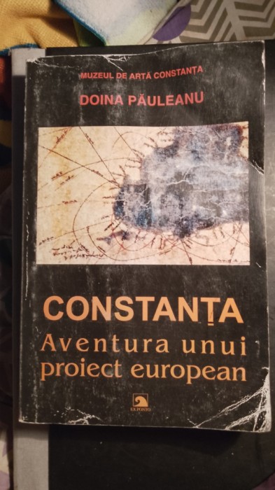 C&oacute;nstanta Aventura unui proiect European,doina paulesnu / 0240