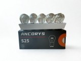 Bec Auto P21Wd Halogen