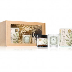 Flagolie Ritual For The Body Green Tea set cadou 1 buc