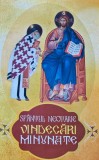 Sfantul Nectarie. Vindecari minunate - 2013 - Danion Vasile ($X197)
