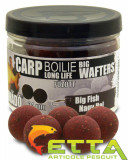Haldorado - Carp Boilie Big Wafters Big Fish 70g 24mm