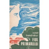 Fiul primarului