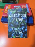 CULEGĂTORII DE AFINE - AMANDA PETERS 2024