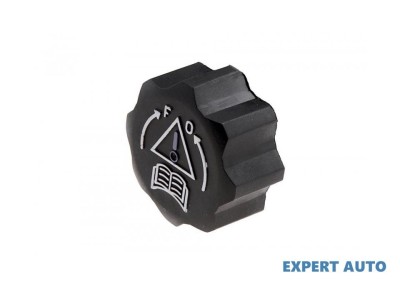 Capac radiator Citroen Jumpy (1994-&amp;gt;) [U6U] #1 foto