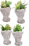 Cumpara ieftin Set 4 plante artificiale suculente in ghiveci 14 x 14 x 27 cm