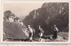 bnk foto - Bucegi - Spre Cruce - 1957 foto