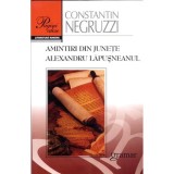Amintiri din junete, autor Constantin Negruzzi, Gramar