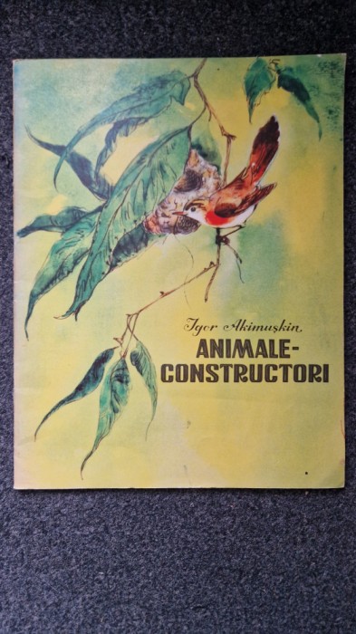 ANIMALE-CONSTRUCTORI - Igor Akimuskin