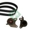INA 530 0109 10 Set curea de distributie