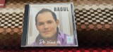 CD Raoul (Rareș Borlea) De ziua ta lansat &icirc;n anul 2008