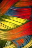 Covor Modern, Kolibri Feather , Diferite Dimensiuni, Multicolor - 200x300 cm