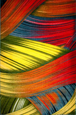 Covor Modern, Kolibri Feather , Diferite Dimensiuni, Multicolor - 200x300 cm foto