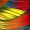 Covor Modern, Kolibri Feather , Diferite Dimensiuni, Multicolor - 80x150 cm