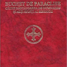Buchet de paraclise către Preasfânta Născătoarea de Dumnezeu și alți Sfinți ai Bisericii - Hardcover - *** - Bizantină