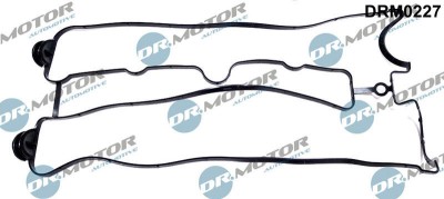 Garnitura, Capac Supape 243953 DRM0227 foto