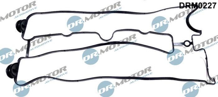 Garnitura, Capac Supape 243953 DRM0227