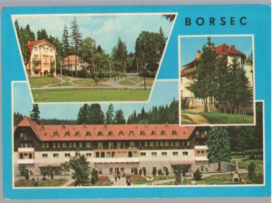 CPIB 15210 - CARTE POSTALA - BORSEC, MOZAIC foto