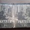 Rene Vallery Radot - Pasteur 2 volume