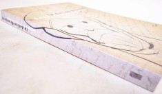 Constantin Brancusi - Desene si Arhive, 2003 catalog nou, format mare