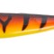 Shad Lucky John 3D Basara Soft Swim 6.35cm PG08 8buc/plic