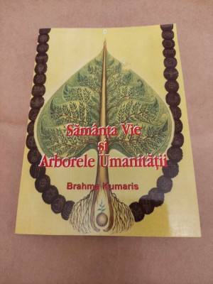 BRAHMA KUMARIS - SAMANTA VIE SI ARBORELE UMANITATII - RAJA YOGA foto