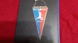 fanion RK Borac Banjaluka