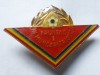 Insigna pionier.Fruntas in munca patriotica locul I.