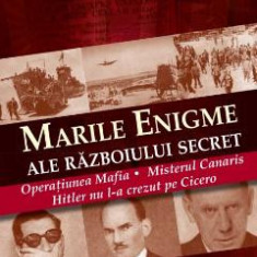 Marile enigme ale Razboiului Secret - Bernard Michael