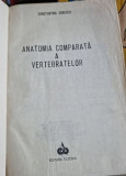 Constantina Sorescu - Anatomia Comparata a Vertebratelor