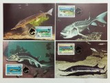 Romania 1994 - Sturion instelat, serie CarteMaxima