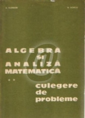 Algebra si analiza matematica. Culegere de probleme vol. 2 foto