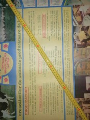 AFIS VECHI - CALENDAR MARE -1988 - PRETURILE CU CARE ERA COLECTAT LAPTELE ...