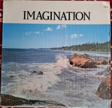 Disc Vinyl Imagination- Teller House Inc-CS-4001