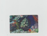 bnk card Cartele telefonice - Romania Romtelecom 2005 - Sea Fauna 3 - Col:RO-ROM-0290