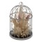 Aranjament handmade, flori uscate, colivie