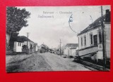 Mures Balauseri