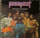 Vinil Pussycat &ndash; Wet Day In September (VG)