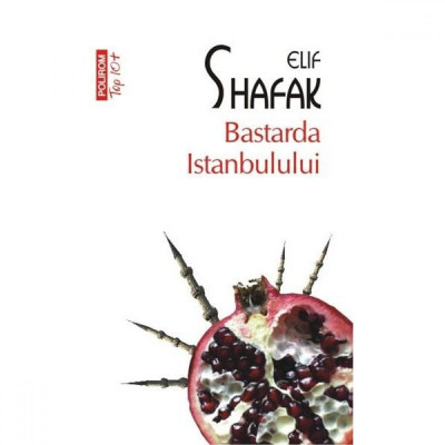 Bastarda Istanbulului - Elif Shafak (Editia 2013) foto