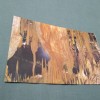 CARTE POSTALA BIHOR-PESTERA URSILOR CHISCAU NECIRCULATA