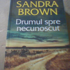 Sandra Brown - DRUMUL SPRE NECUNOSCUT ( editura Litera, 2023 )