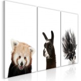 Cumpara ieftin Tablou - Friendly Animals (Collection) 60x30 cm