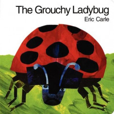 The Grouchy Ladybug