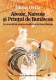 Aivoie, Naivoie si Printul de Bunavoie - Univers