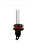 Bec xenon H11 35W - 55W 4300k 35W, Xenon Bright