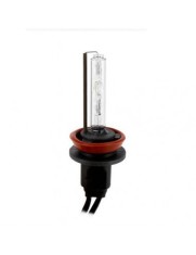 Bec xenon H11 35W - 55W 5000k 35W