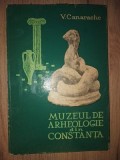 Muzeul de arheologie din Constanta- V. Canarache