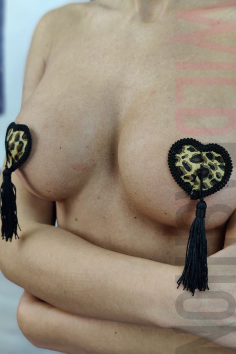 TE166-99 Accesorii fetish pentru sani cu broderie si cucurei