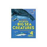 Big Book of Big Sea Creatures