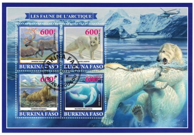 BURKINA FASO 2019 - Fauna arctica /set complet - colita + bloc foto